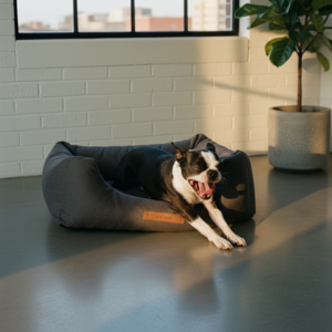 Oreydashi Mun Dog Bed – سرير أوري داشي مون المريح للكلاب