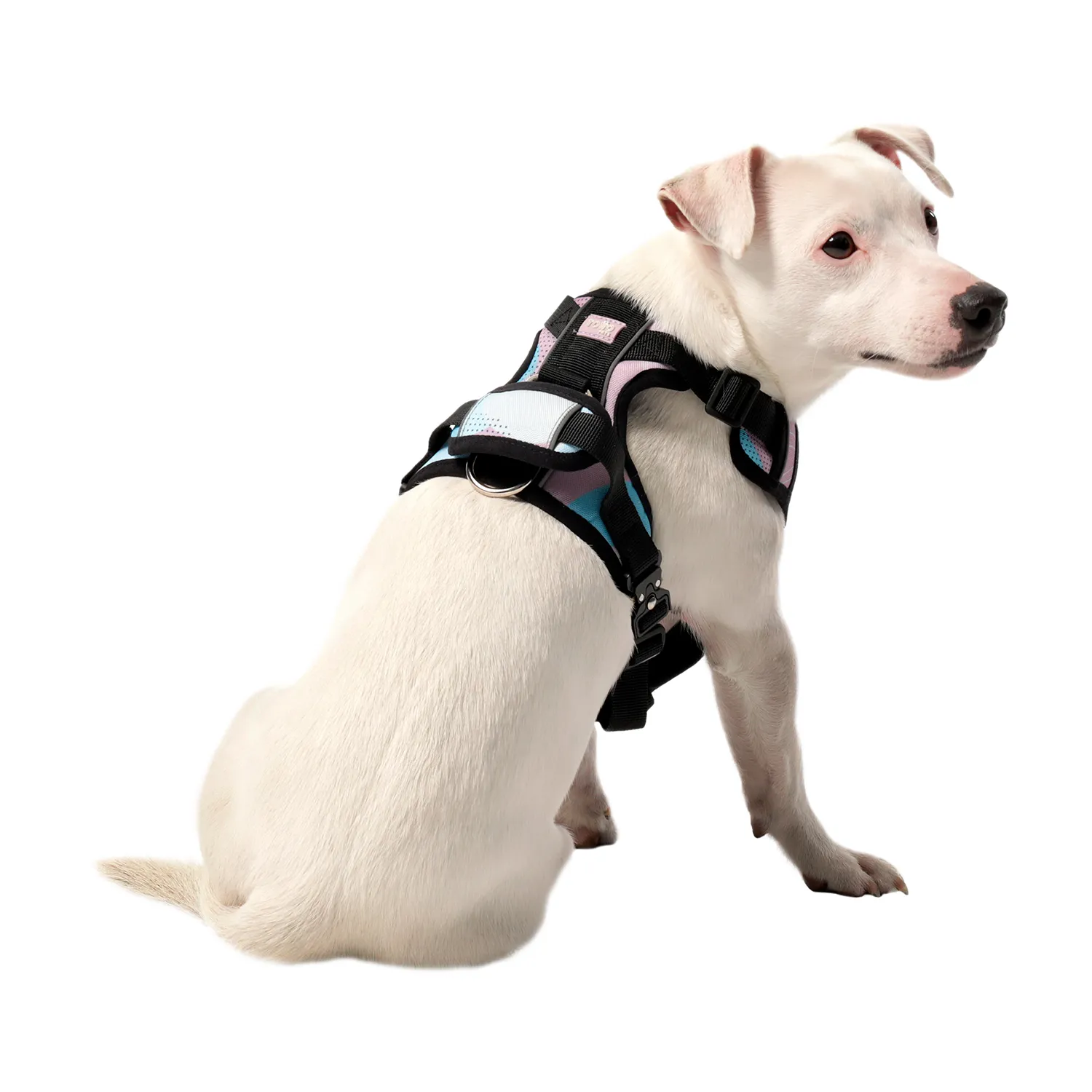TOTTO Draco M Mediano harness front view – هارنس توتو دراكو المتوسط