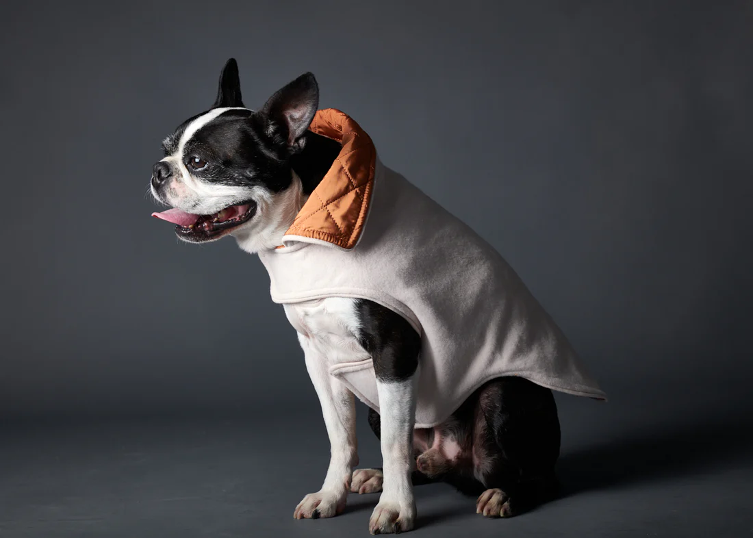 The Striped Dog Terracota Sunset Jacket – جاكيت سترَيبِد دوج صن سيت المقاوم للماء
